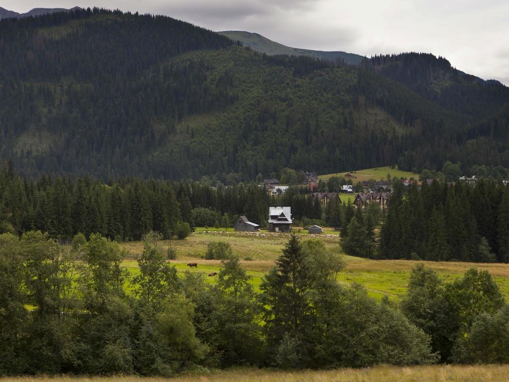 Apartamenty Domino - Kościelisko Buitenkant foto